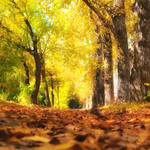 the Fabulous Fall by Alexander-Osika
