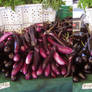 Stereograph - Eggplants