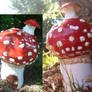 Mushroom House