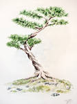 Bonsai by pica-ae