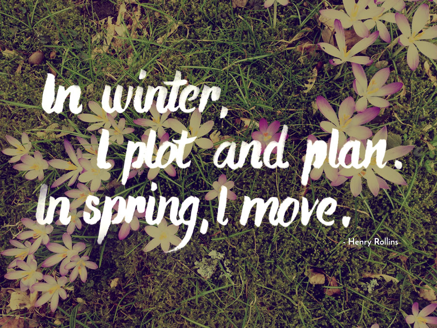 In winter, I plot and plan. In spring, I move.