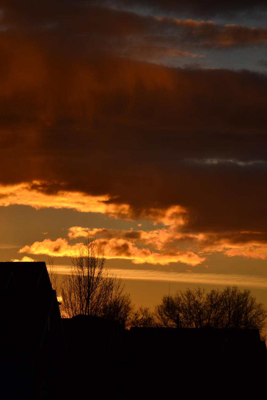 Cloudy Skies