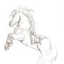 Horse Practice: Epona.