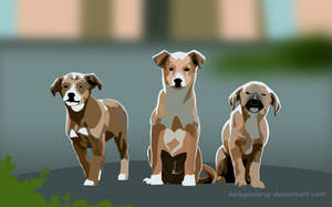 3 Pups by BaileyisDarcy 3 Pups by BaileyisDarcy