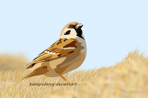 lil bird by BaileyisDarcy lil bird by BaileyisDarcy