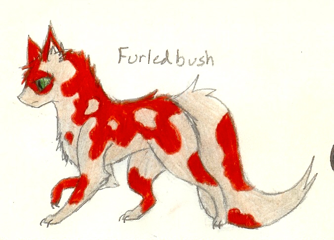 Furledbush