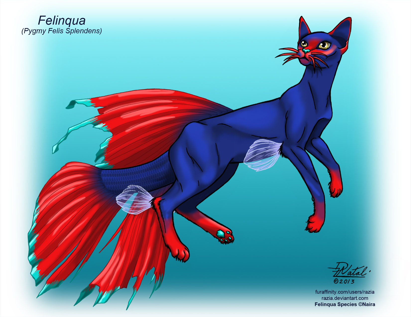 Felinqua: Pygmy Felis Splendens