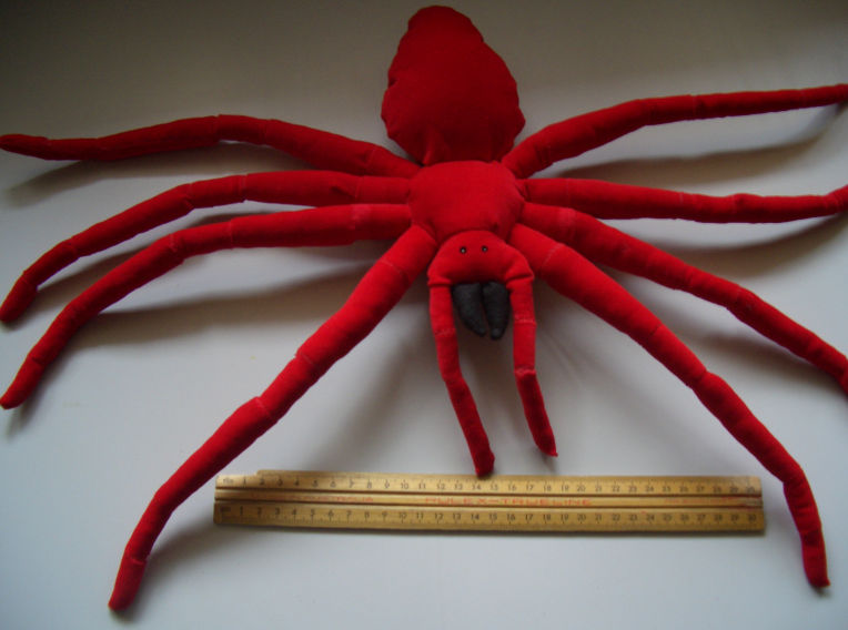 Creative Spider Ruler Spider and ruler by ludicrouslouisa on DeviantArt
