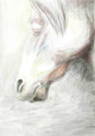 Kelpie by ludicrouslouisa