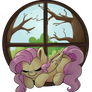 Fluttershy's Window