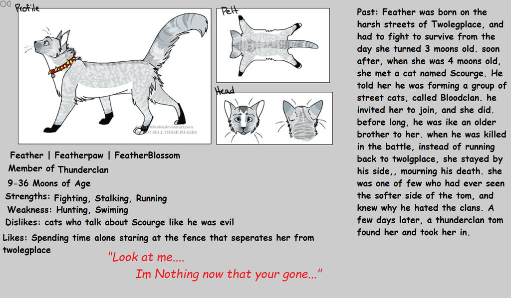 Feather Form Feather form by A-K-L-M on DeviantArt