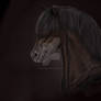 Pony portrait - speedpaint (with video!)