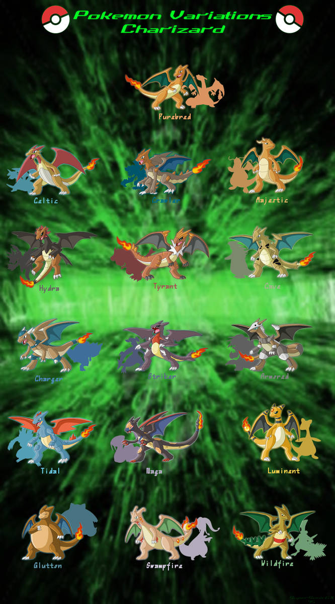 Pokemon VariationsCharizard by SuperSonicGX on DeviantArt