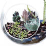 Terrariums Bowl