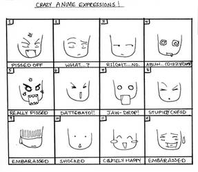 Crazy Anime Expressions