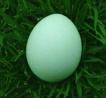 Green egg on grass