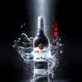 Bacardi - Shoot and Fly