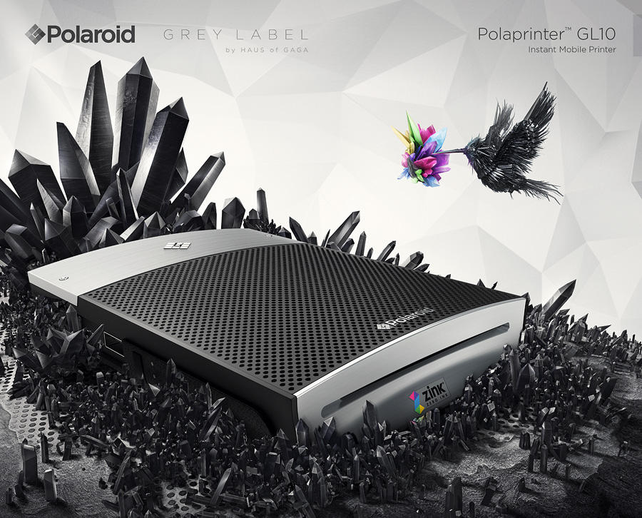 Polaroid grey label gl10