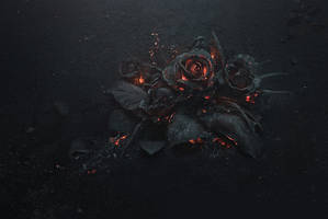 The Ash - Future 'Evol' Cover Art