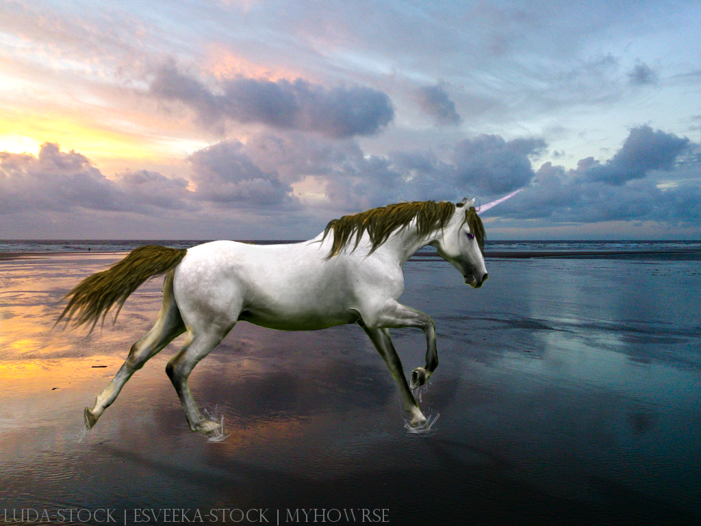 Beach Horse Manipulation