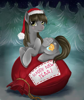 New year pony