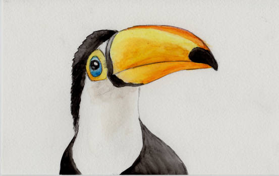 Toucan