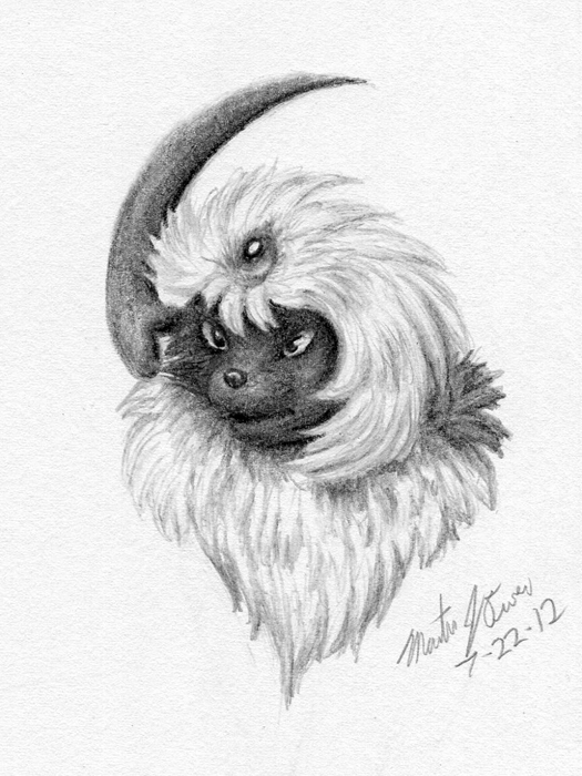 Absol bust - graphite