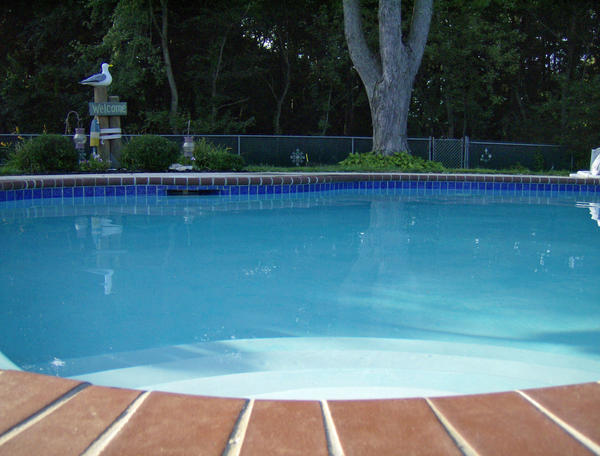 The Pool