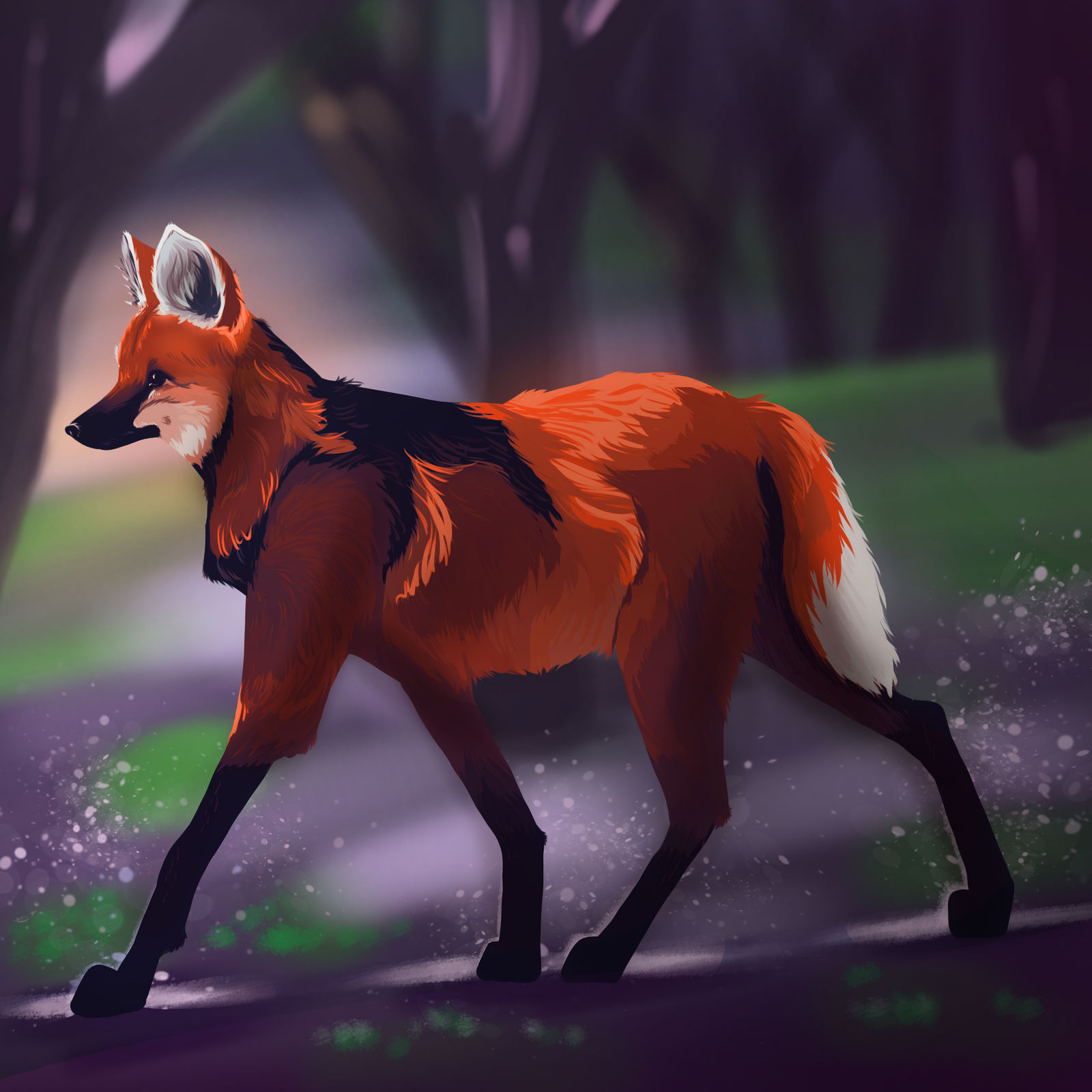 Maned Wolf By AivhiDraw On DeviantArt maned-wolf-by-aivhidraw-on-deviantart