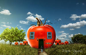 House Tomato by marcosnogueiracb