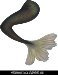 Mermaid tail - Stock