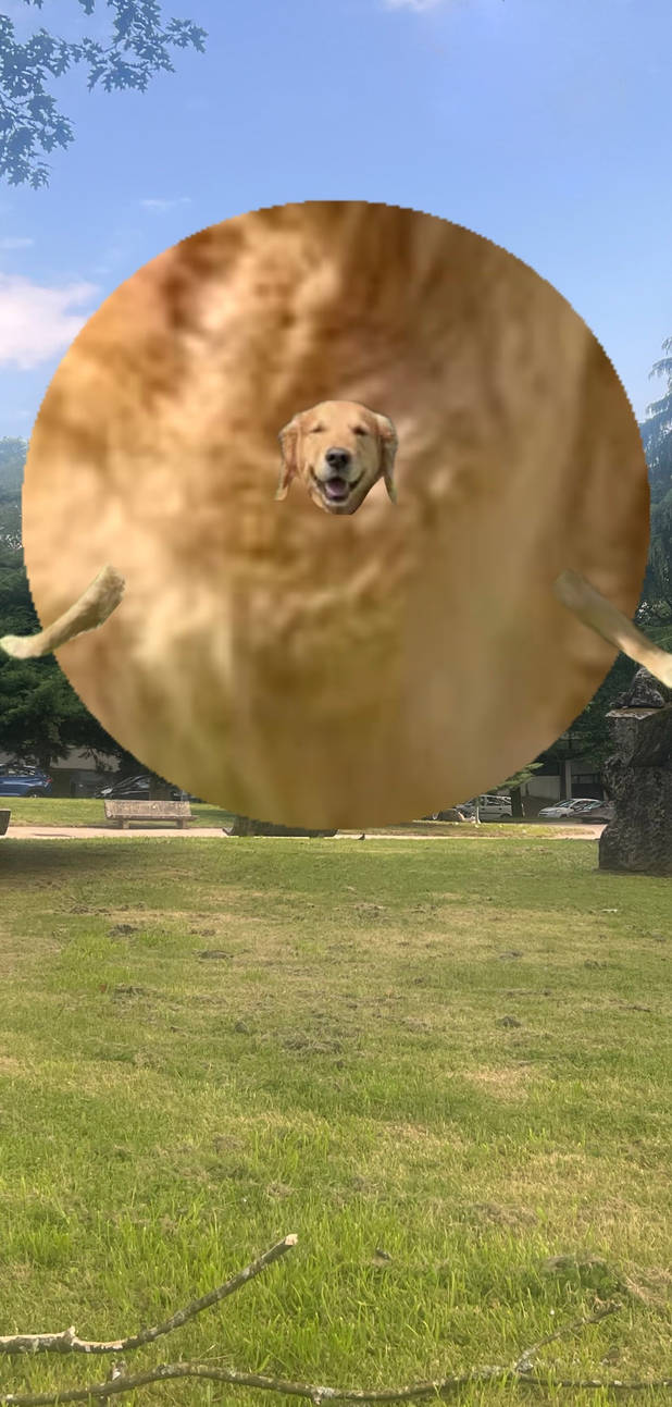 Bush Dog Inflatie Dog inflated by Inflanimales on DeviantArt
