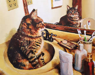 [C] Sink Cat