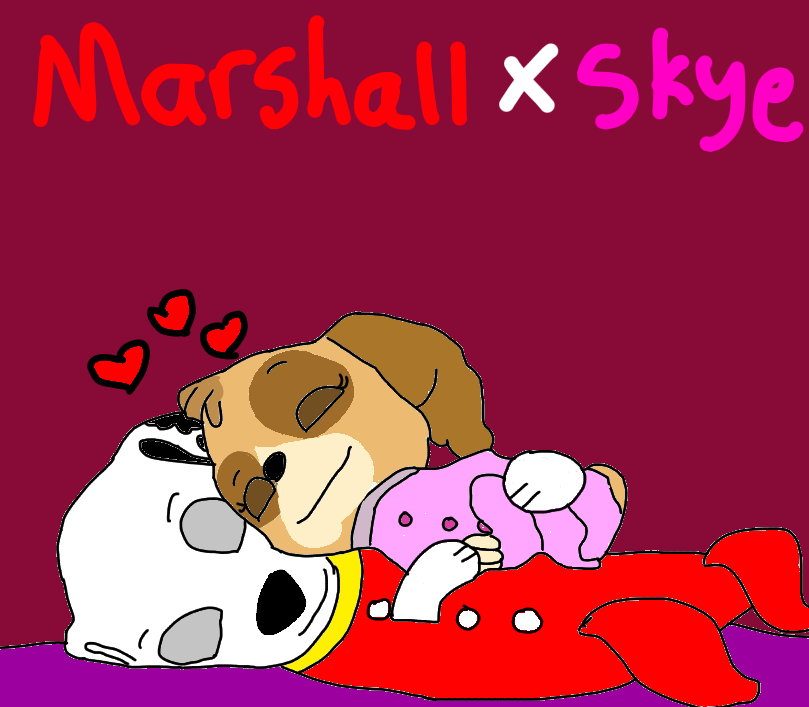 Skye onesie paw patrol hot sale