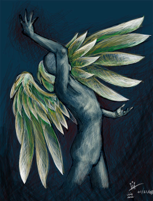 Male Angel 2