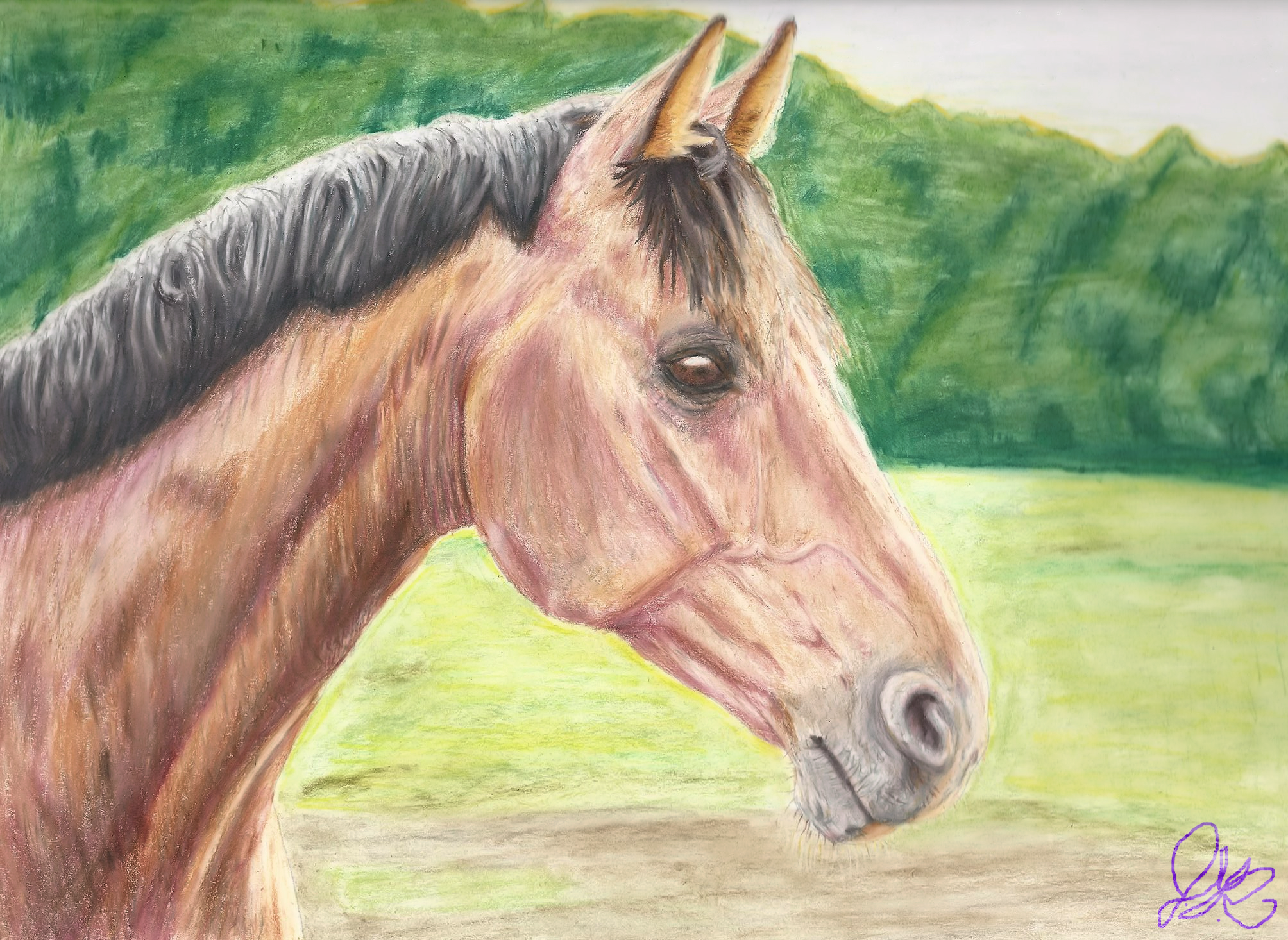 Horse Head Colored Pencil Final Signed