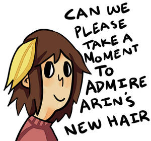 Arin Hansons New Hair