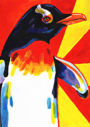 Bright Penguin