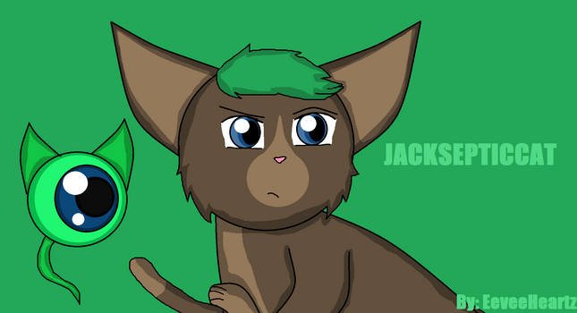 Scared cat by maskman626 on DeviantArt  Jacksepticeye, rs funny,  Jacksepticeye memes