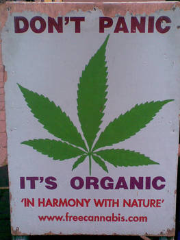 Cannabis