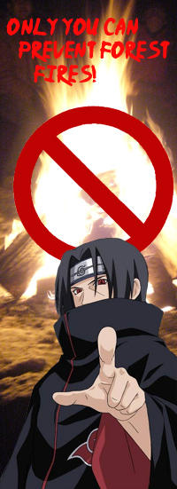 forest fires by strawberry-usagi101 on DeviantArt