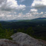 New England Summers...