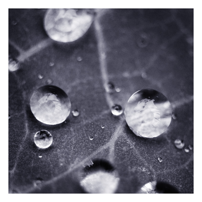 Silver drops