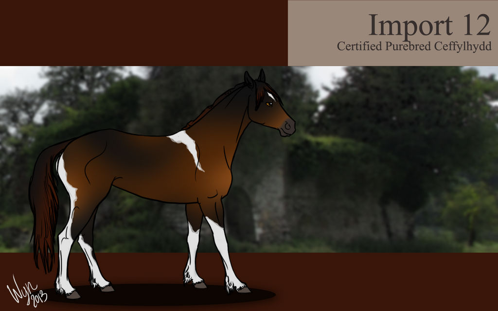 Ceffyl Import 12 by WynBird