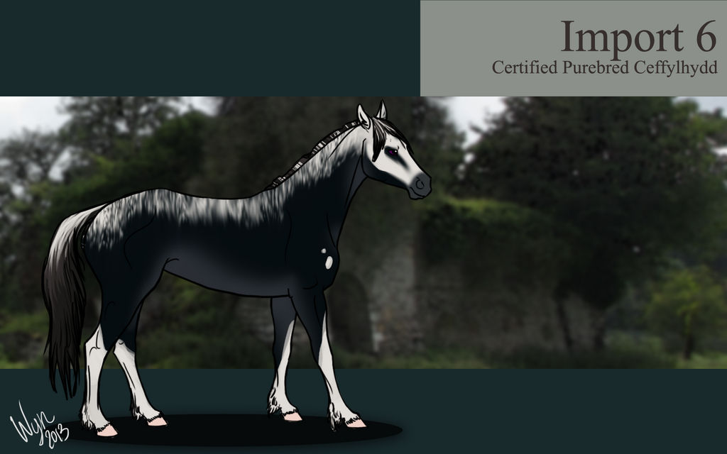 Ceffyl Import 6 by WynBird