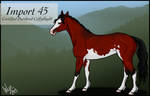 Ceffyl Import 45 by WynBird