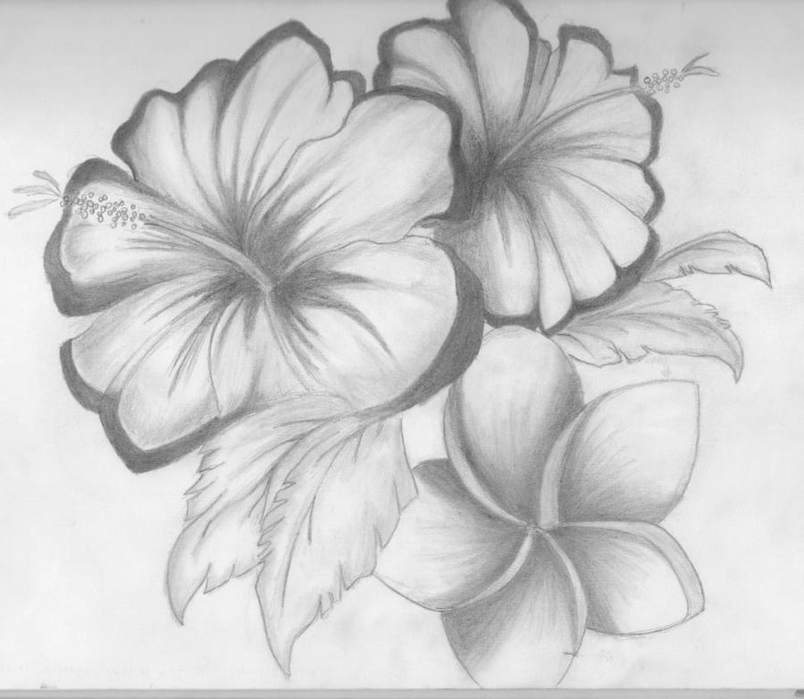 Рисунок цветов простым карандашом. Цветы карандашом. Рисунки карадашомцветы. Цветы рисунок карандашом. Ветка рисунок карандашом.