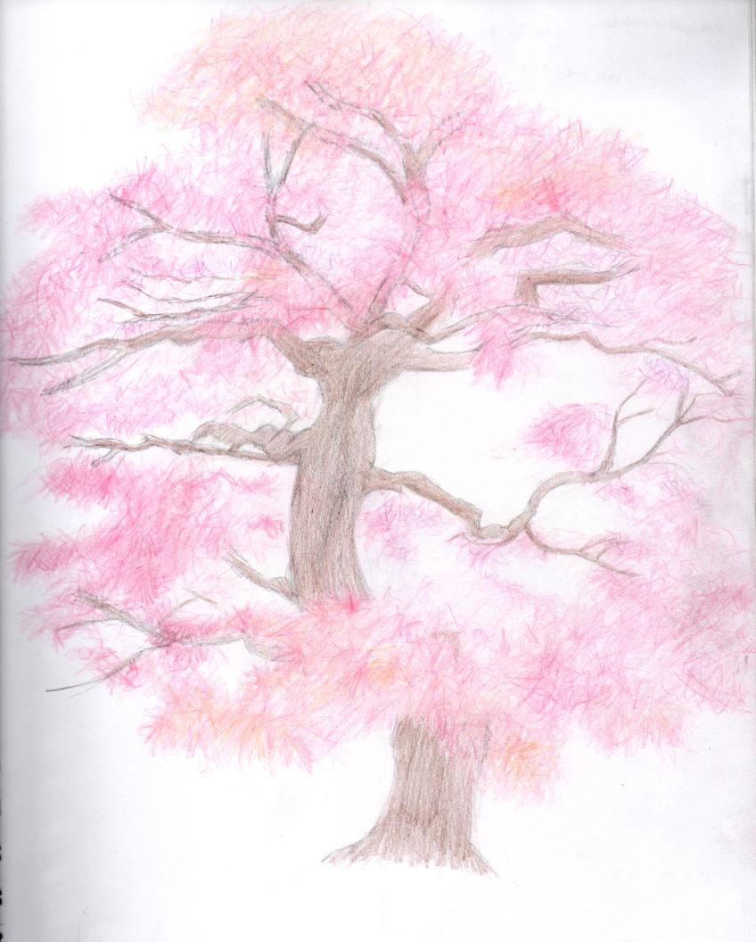 cherry blossom tree by something-easy101 on DeviantArt