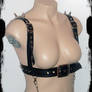 Spike Harness