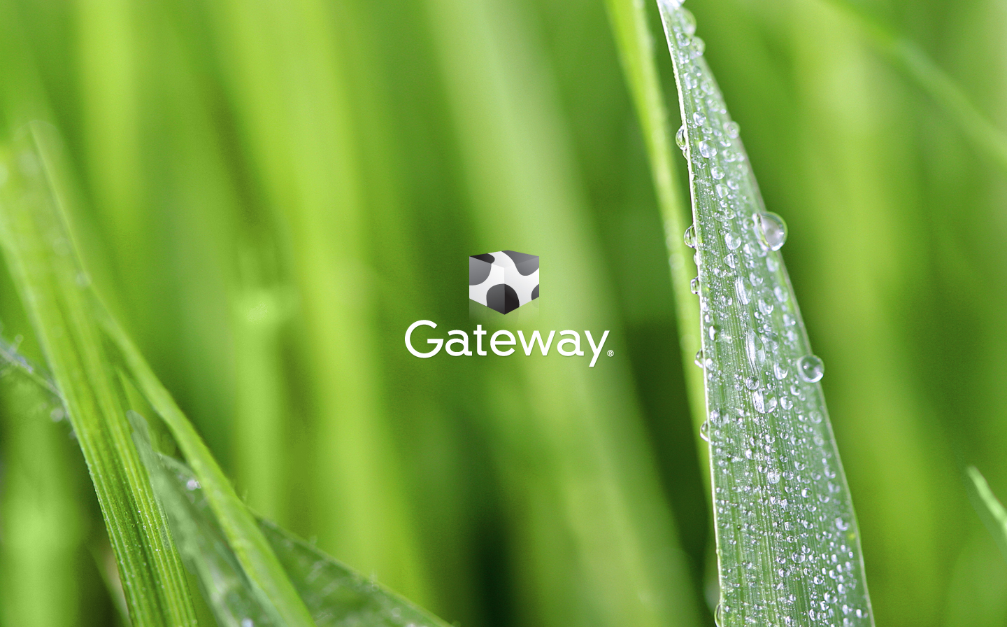 Gateway Wallpaper By Carribeanjammer On Deviantart Gateway Wallpaper By Carribeanjammer On Deviantart